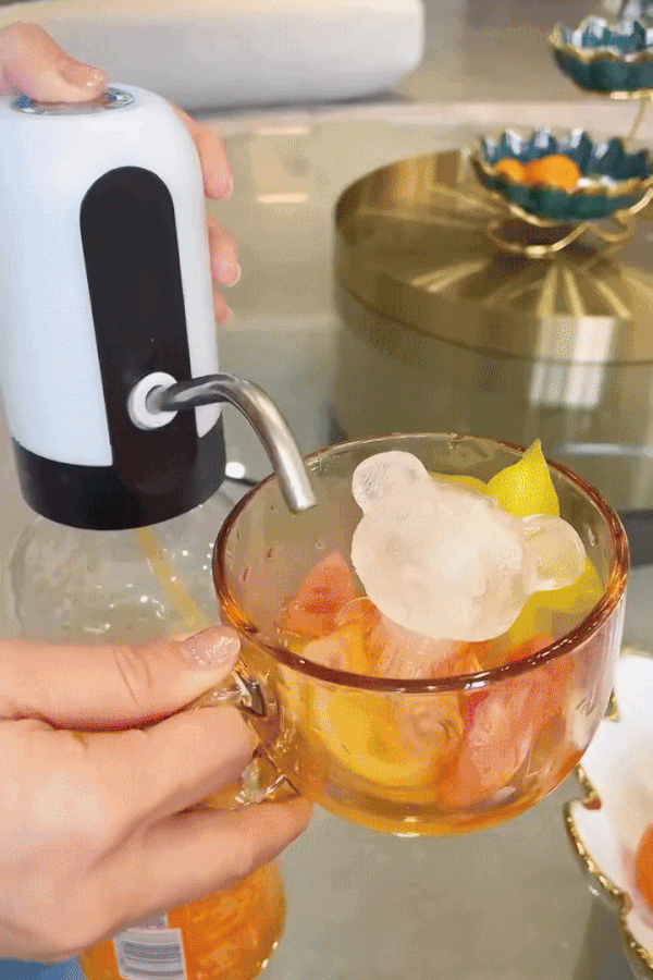 Water Dispenser Pump